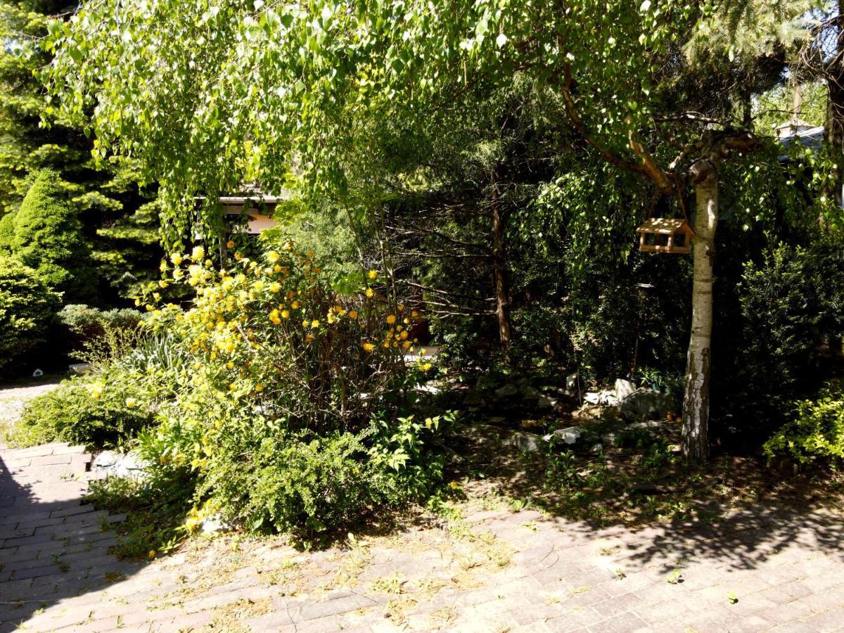 Parysa Hostel *